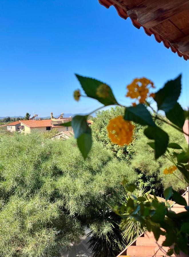 Appartement Casa Di Rosy à San Sperate Extérieur photo